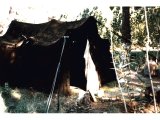 Tent made of black goat`s hair